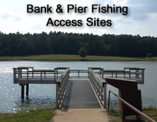 Bank & Pier Fishing Access Sites