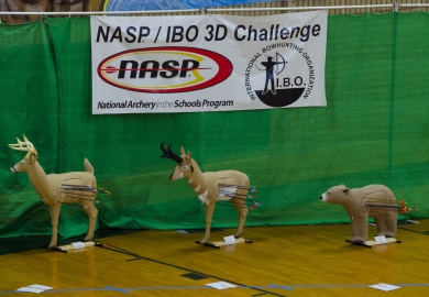 Three-dimensional targets like these used at the recent NASP World IBO 3-D Challenge youth archery tournament in Myrtle Beach will be on hand for participants to practice their archery skills with at a 'Fun Shoot' scheduled for Saturday, July 8 at the DNR's new Belfast WMA archery range in Laurens County.