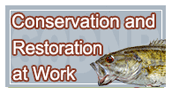 Conservation and Restoration at Work Conservation and Restoration at Work
