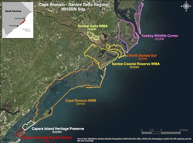El sitio RHRAP (WHSRN por sus siglas en inglés) de la Región Cape Romain - Santee Delta incluye una cantidad de propiedades privadas, estatales y federales.