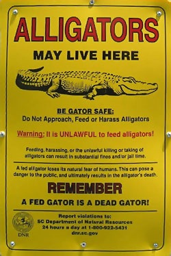 Las señales de advertencia por presencia de aligátores son comunes alrededor de puntos de acceso a agua dulce y en estanques de la planicie costera de Carolina del Sur, y se les debe prestar atención.