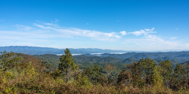La impresionante vista desde la Montaña Sassafras, el punto más alto de Carolina del Sur a 3,553 pies no tiene comparación. La construcción de una torre de observación en su cima comienza el lunes 27 de noviembre. (Foto por Bill Tynan)