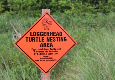 Loggerhead Turtle Nesting Area sign