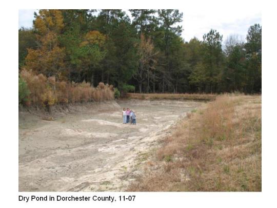 Dry Pond in Dorchester County jpg