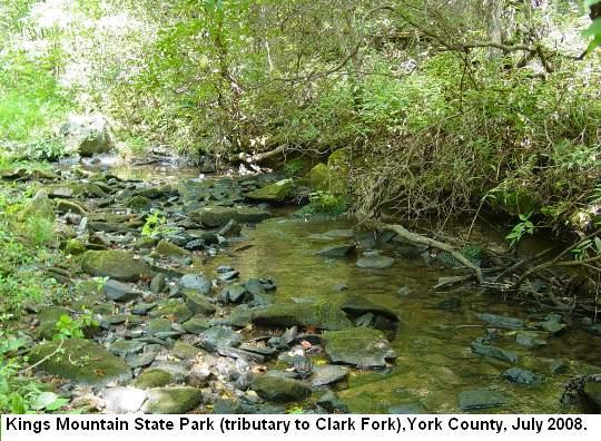 Kings Mountain State Park(tributary to Clark Fork) jpg