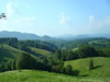 Green acres