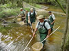 Backpack Electrofishing in Cedar Creek