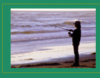 Picture of Person Fishing