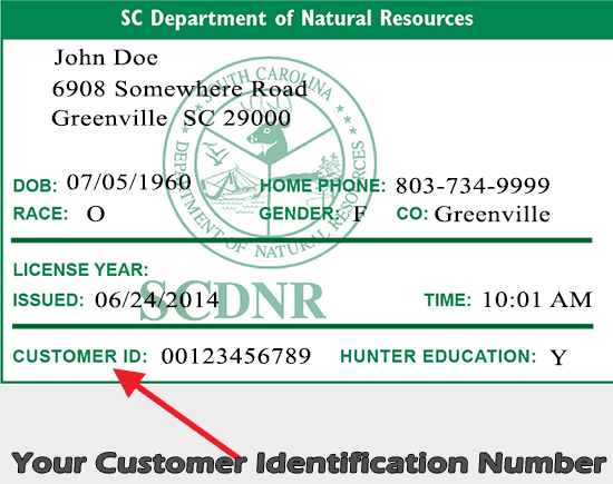How do you get your South Carolina fishing license online?