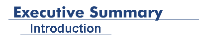 Executive Summary: Introduction