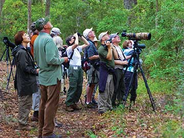 Birdwatchers gather in Roxbury Park, one of the newest public spaces of the ACE Basin