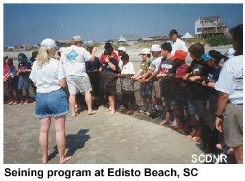 seining