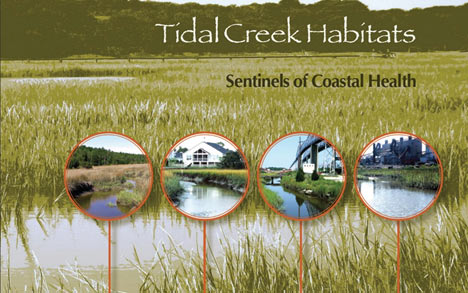 Tidal Creek Habitats: Sentinels of Coastal Health