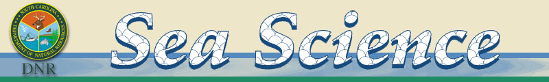 Sea Science