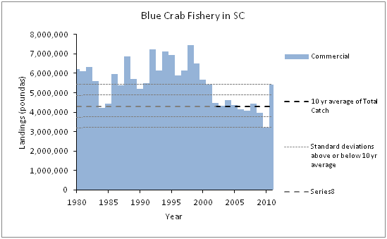 blue graphs