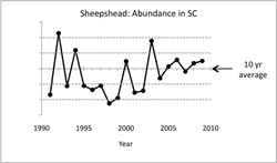 Sheepshead Abundance Graph - Click on graph for a larger image Sheepshead Abundance Graph - Click on graph for a larger image