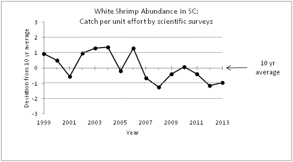 White Shrimp Abundance in SC