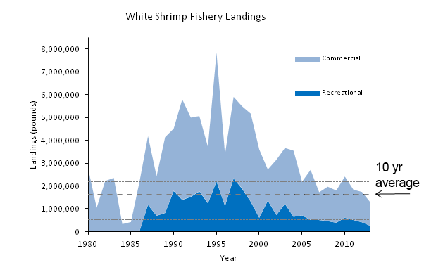 Graph of White Shrimp Fisherin in SC
