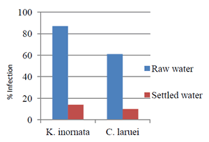 Figure 1. Percent infection of spotted seatrout by two Myxozoan parasites.