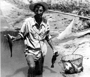 Figure 1. Dr. Lunz harvesting red drum from a pond at Bears Bluff.