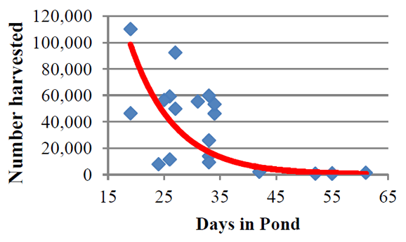 Figure 3. Harvest number versus days in pond of spotted seatrout fingerlings.