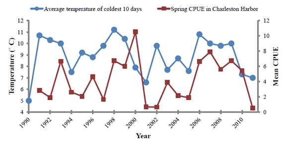 Figure 1. Coldest daily water temperature of winter (Dec-Feb) and annual abundance of spotted seatrout in trammel net CPUE in Charleston Harbor. Water temperature is given for the January year.
