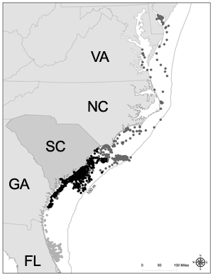 Map of Resident Transient Sea Turtles