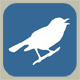 Bird Area