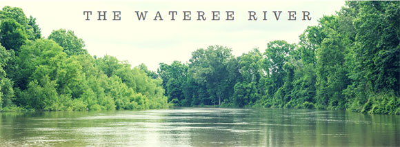 Photograph of the Wateree River