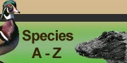 Species A-Z