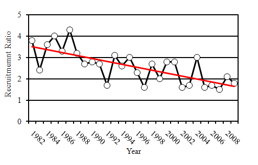 Figure 1. Summer wild turkey recruitment ratio in South Carolina 1982-2008.