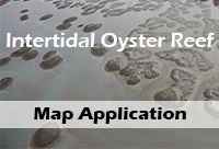 SC Intertidal Oyster Reefs Map Application