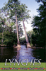 Little Pee Dee River Guide