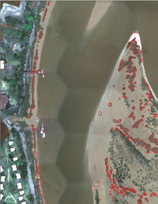 DOQQQ Imagery and Oyster Reef Areas