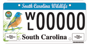 Painted bunting License Plate