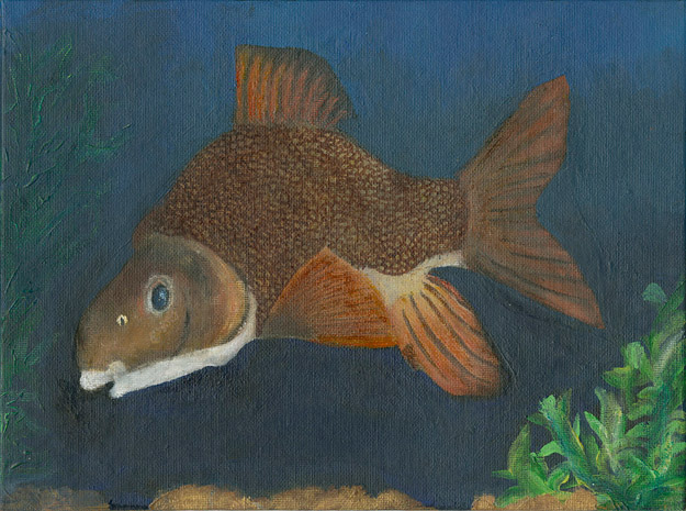 2015 Best of Show, Grayson Caroline Lutz, Age 13, Thomas Cario Middle School, Teacher: Stefani Timmerman