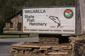 Walhalla State Fish Hatchery Sign