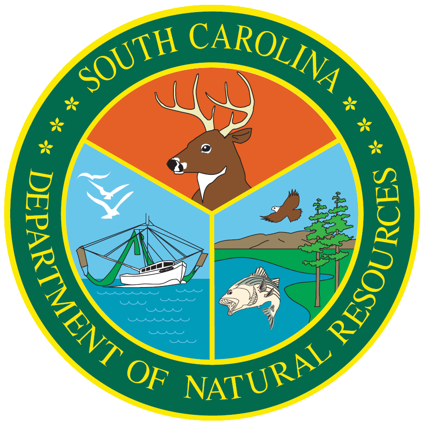 Department of Natural Resources(DNR) logo