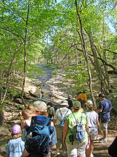 A production crew recently filmed at Forty Acre Rock Heritage Preserve and WMA in Lancaster County. The crew took special precautions not to disturb rare plants on 'The Rock' such as the pool sprite, and also not to interfere with spring hikers. (DNR photo)
