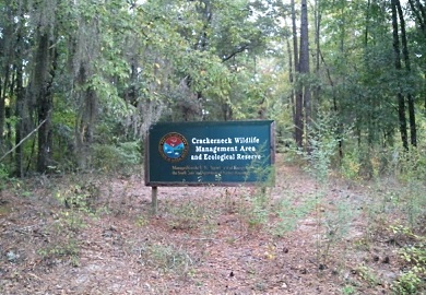 Crackerneck Wildlife Management Area and Ecological Reserve consists of 10,600 acres in Aiken County owned by the U.S. Department of Energy and managed by the S.C. Department of Natural Resources. Crackerneck will be open to the public Saturdays in March. Crackerneck Wildlife Management Area and Ecological Reserve consists of 10,600 acres in Aiken County owned by the U.S. Department of Energy and managed by the S.C. Department of Natural Resources. Crackerneck will be open to the public Saturdays in March.