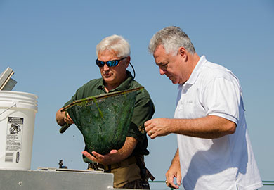 State Sen. Larry Grooms of Charleston (at right) is a member of the Senate Agriculture and Natural Resources Committee and an avid sportsman. Grooms takes a keen interest in the wildlife and fisheries conservation and management programs undertaken by DNR. To his left is DNR fisheries biologist Forrest Sessions, manager of the Bayless Fish Hatchery. (DNR photo by David Lucas)