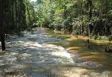 Flooding on WMA