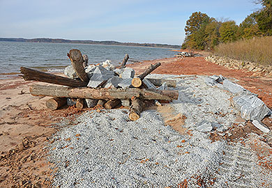 Fisheries habitat on Lake Hartwell