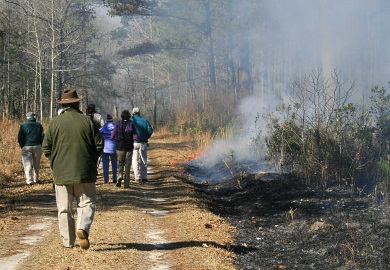 The second annual Sewee Fire Fest March 12 in Awendaw will include a prescribed burn at 1 p.m., weather permitting.