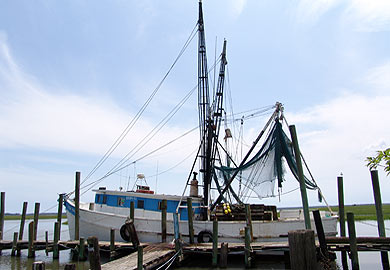 Commercial shrimp trawling season opens May 27