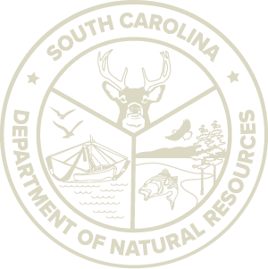 SCDNR - News Releases - Freshwater Fishing Trends