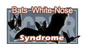 White Nose Syndrome