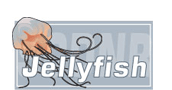 Jellyfish Information