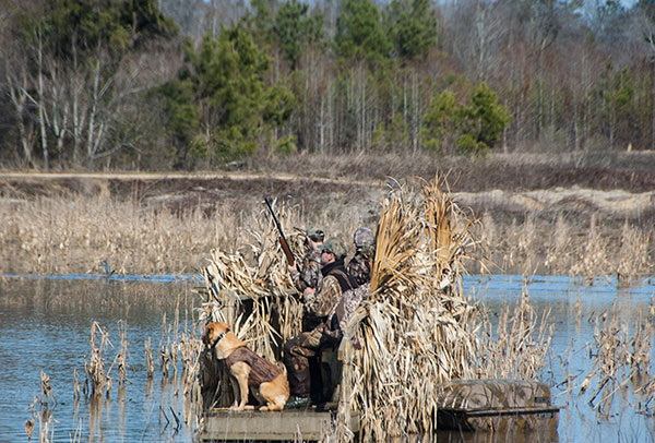 Molly and Willie -- hunting buddies 'til the end. (Photo courtesy Molly Kneece)