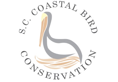 Click on the logo to learn more about the S.C. Coastal Bird Conservation Program and its plans to restore, protect and enhance coastal bird habitat in South Carolina.